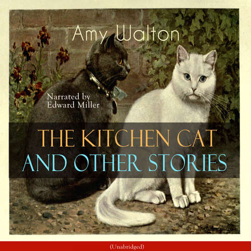 Audiobook The Kitchen Cat and Other Stories - Amy Walton - Edward Miller