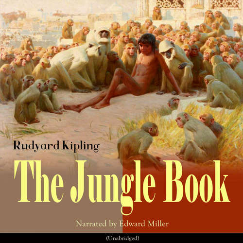 Audiobook The Jungle Book (Unabridged) - Rudyard Kipling - Edward Miller