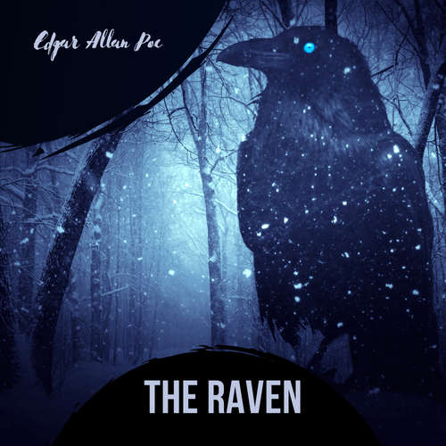 Audiobook The Raven - Edgar Allan Poe - Nate Goodwyn