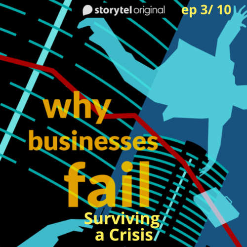 Audiobook Why Businesses Fail? S01E03 - Amar Deshpande - Amar Deshpande