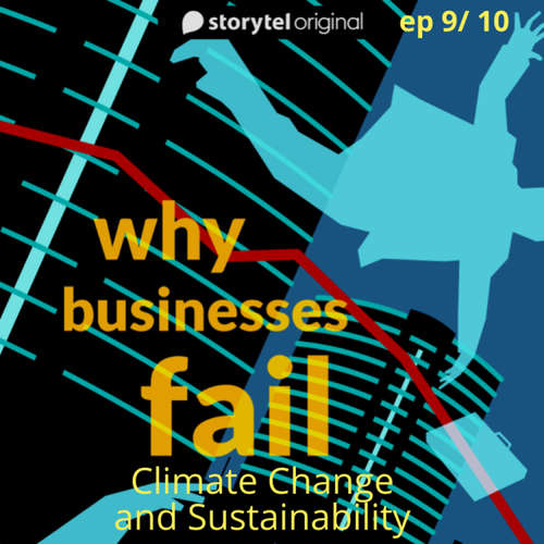 Audiobook Why Businesses Fail? S01E09 - Amar Deshpande - Amar Deshpande