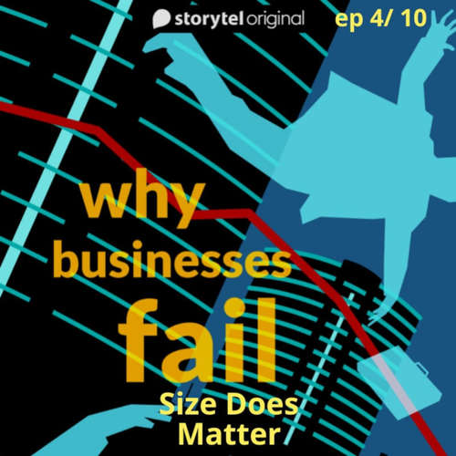 Audiobook Why Businesses Fail? S01E04 - Amar Deshpande - Amar Deshpande