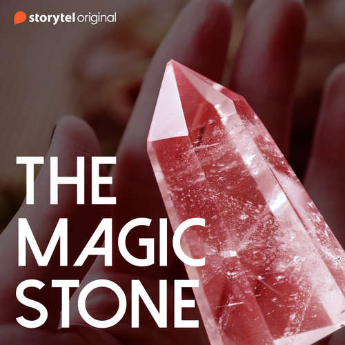 Audiobook The Magic Stone - Amol Raikar - Derek Denzil