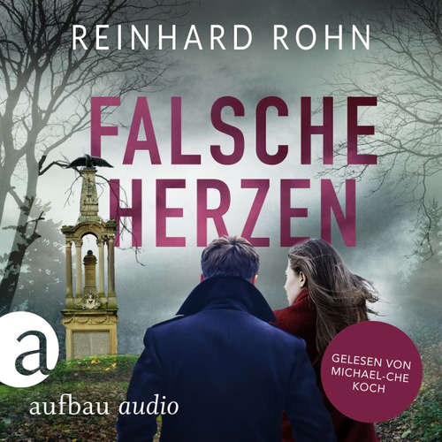 Hoerbuch Falsche Herzen - Reinhard Rohn - Michael-Che Koch