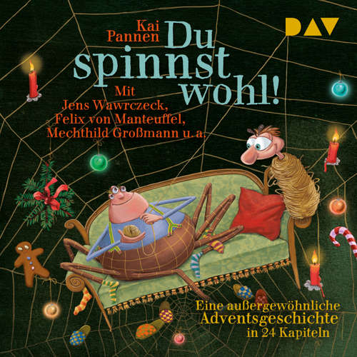 Hoerbuch Du spinnst wohl! Eine außergewöhnliche Adventsgeschichte in 24 Kapiteln - Kai Pannen - Mechthild Großmann