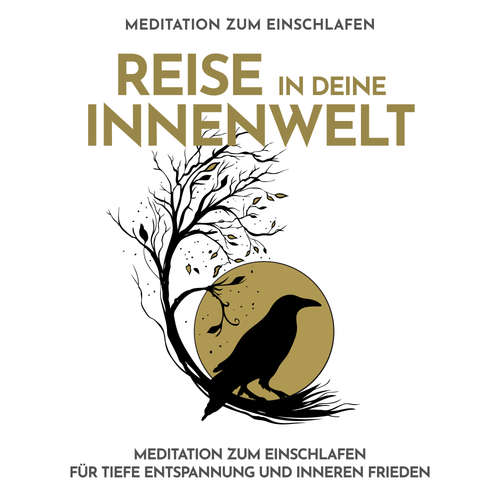 Hoerbuch Reise in deine Innenwelt - Meditation zum Einschlafen - Raphael Kempermann - Raphael Kempermann