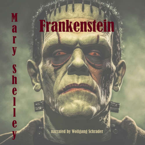 Audiobook Frankenstein - Mary Shelley - Wolfgang Schrader