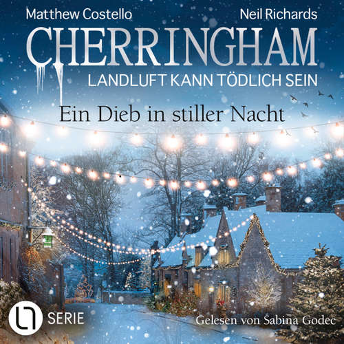 Hoerbuch Ein Dieb in stiller Nacht - Matthew Costello - Sabina Godec