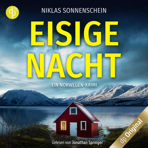Hoerbuch Eisige Nacht - Niklas Sonnenschein - Jonathan Springer
