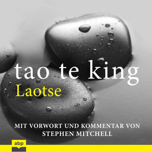 Hoerbuch Tao Te King - Eine zeitgemäße Version für westliche Hörer - Laotse - Matthias Ernst Holzmann