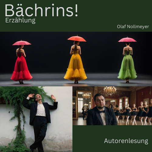 Hoerbuch Bächrins! - Olaf Nollmeyer - Olaf Nollmeyer