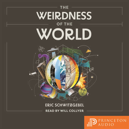 Audiobook The Weirdness of the World - Eric Schwitzgebel - Will Collyer