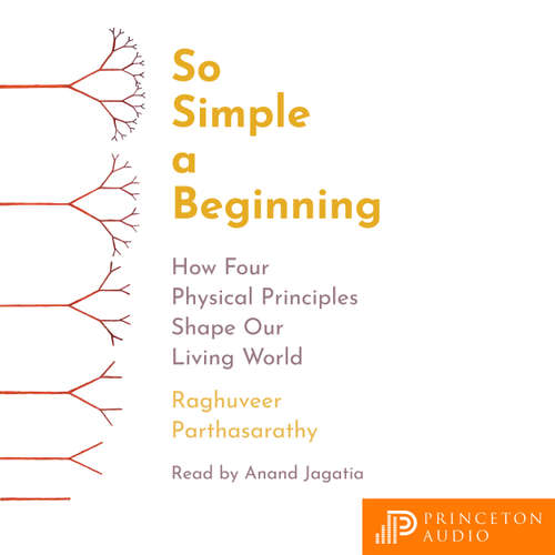 Audiobook So Simple a Beginning - Raghuveer Parthasarathy - Anand Jagatia