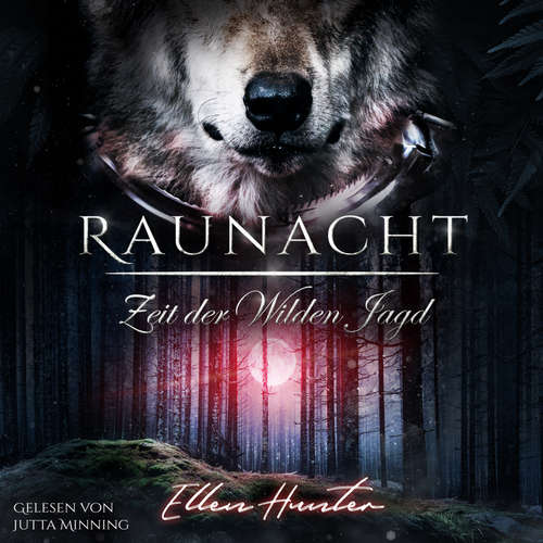 Hoerbuch Raunacht - Ellen Hunter - Jutta Minning