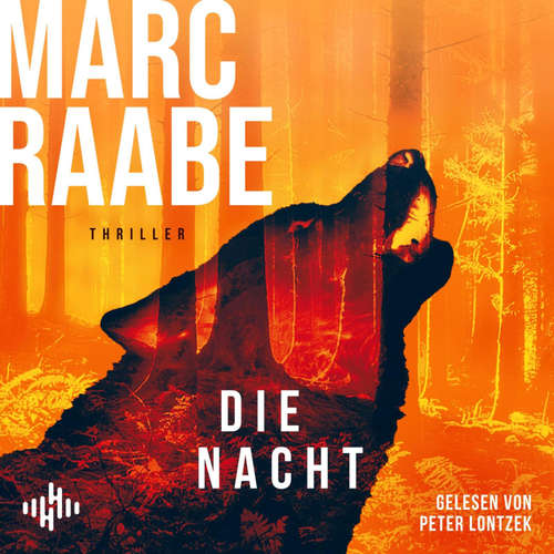 Hoerbuch Die Nacht (Art Mayer-Serie 3) - Marc Raabe - Peter Lontzek