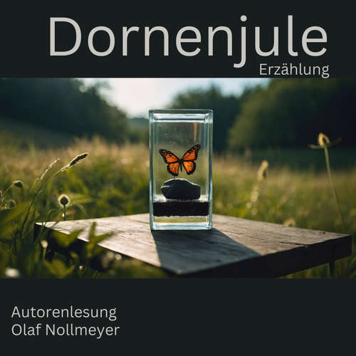 Hoerbuch Dornenjule - Olaf Nollmeyer - Olaf Nollmeyer
