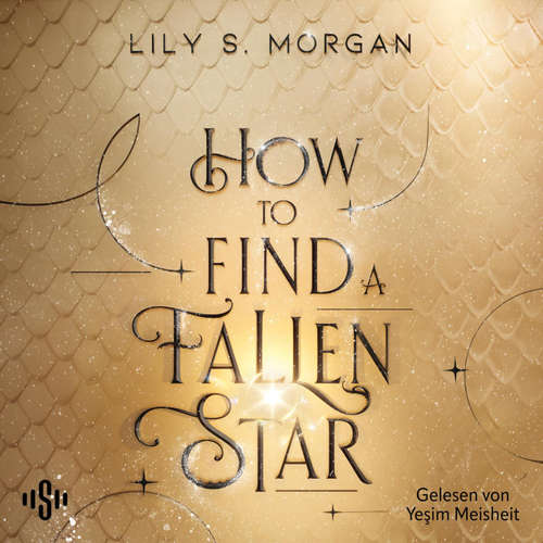 Hoerbuch How To Find A Fallen Star (New York Magics 2) - Lily S. Morgan - Yeşim Meisheit