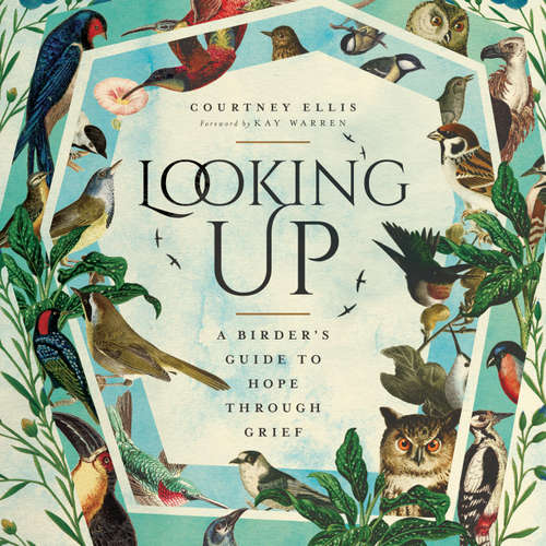 Audiobook Looking Up - Courtney Ellis - Courtney Ellis