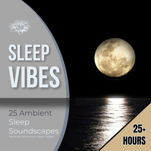 Audiobook Sleep Vibes: 25 Ambient Sleep Soundscapes - Sleep Vibes - Reset Your Brain For Sleep - Sleep Vibes - Reset Your Brain For Sleep