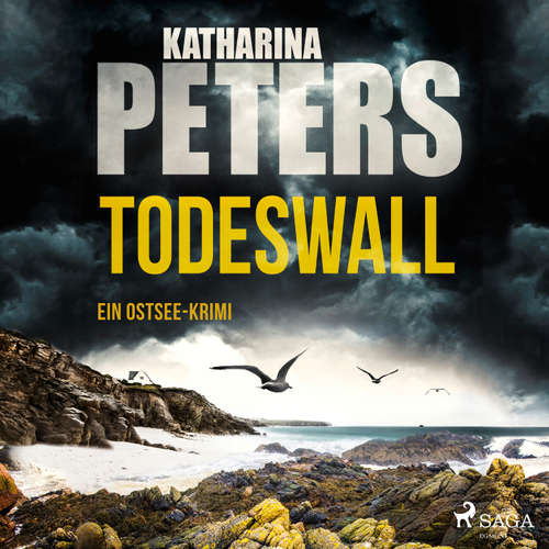 Hoerbuch Todeswall: Ein Ostsee-Krimi - Katharina Peters - Katja Liebing