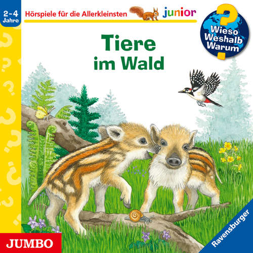 Hoerbuch Tiere im Wald [Wieso? Weshalb? Warum? JUNIOR Folge 77] - Patricia Mennen - Marion Elskis
