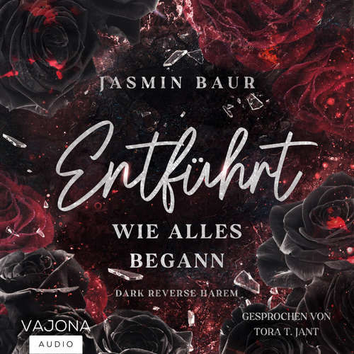 Hoerbuch Entführt - Jasmin Baur - Tora T. Jant
