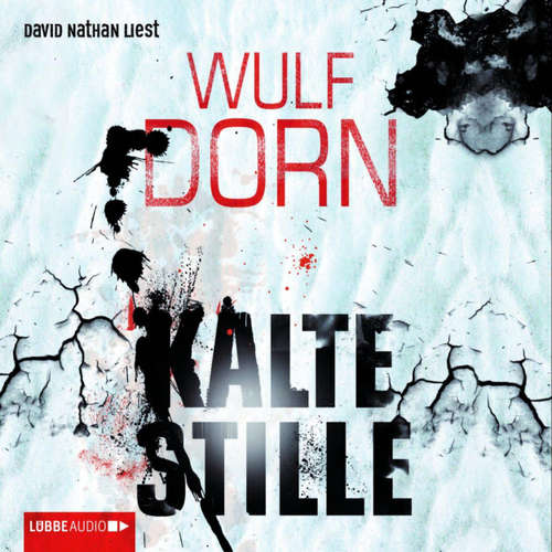 Hoerbuch Kalte Stille - Wulf Dorn - David Nathan