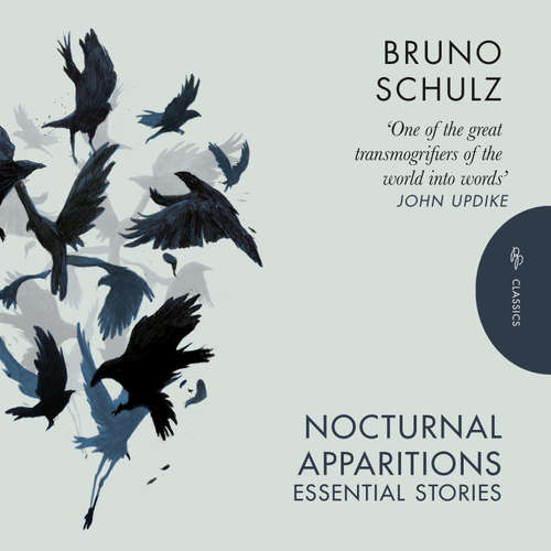 Audiobook Nocturnal Apparitions - Bruno Schulz - Steven Ritz-Barr