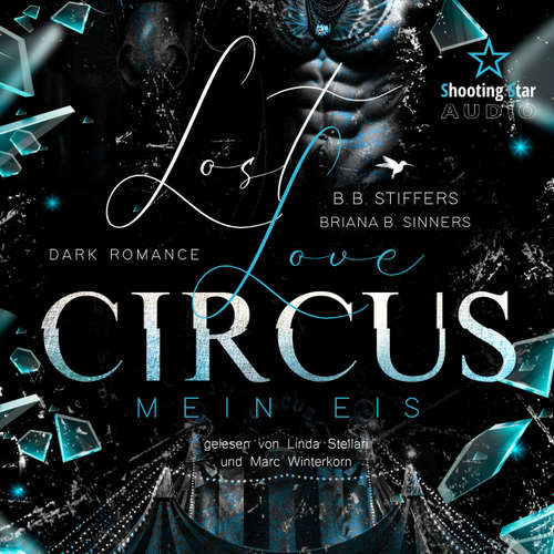 Hoerbuch Lost Love Circus: Mein Eis - Dark Romance - Enemies to Lovers, Band 2 - B. B. Stiffers - Linda Stellari