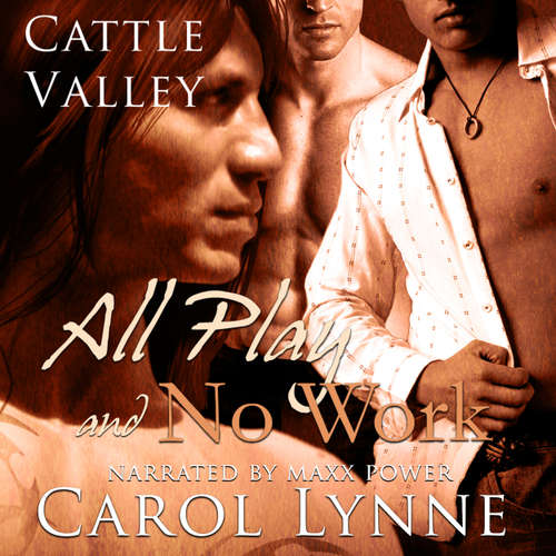Audiobook All Play and No Work - Carol Lynne - Maxx Power