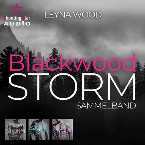 Hoerbuch Blackwood Storm - Der Sammelband - Blackwood STORM Trilogie, Band 4 - Leyna Wood - Marc Winterkorn