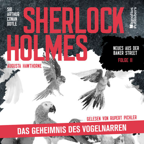Hoerbuch Sherlock Holmes: Das Geheimnis des Vogelnarren (Neues aus der Baker Street, Folge 11) - Sir Arthur Conan Doyle - Rupert Pichler