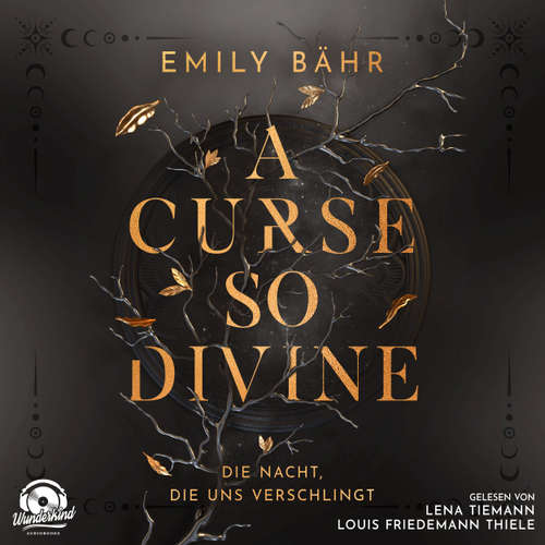 Hoerbuch Die Nacht, die uns verschlingt - Emily Bähr - Lena Tiemann
