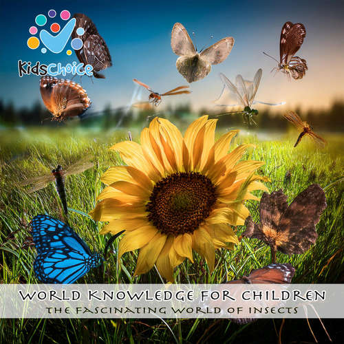 Audiobook The Fascinating World of Insects - KidsChoice - KidsChoice