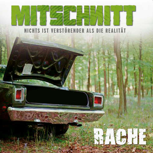 Hoerbuch Mitschnitt - Nichts ist verstörender als die Realität, Folge 2: Rache - Anonymus - Anonymus