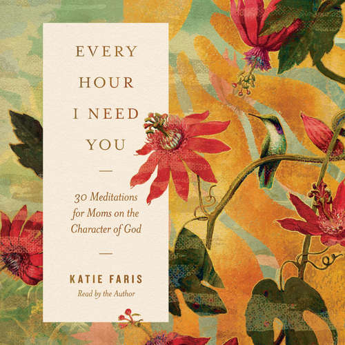 Audiobook Every Hour I Need You - Katie Faris - Katie Faris