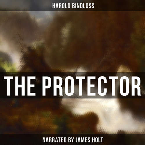 Audiobook The Protector - Harold Bindloss - James Holt