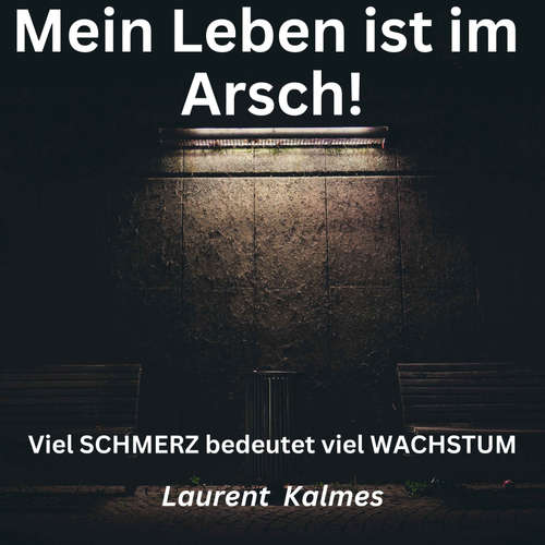 Hoerbuch Mein Leben ist im Arsch - Laurent Kalmes - Laurent Kalmes
