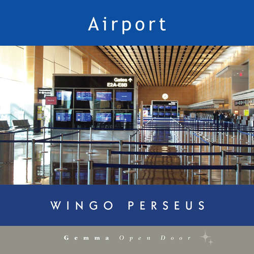 Audiobook Airport - Wingo Perseus - Synthesized