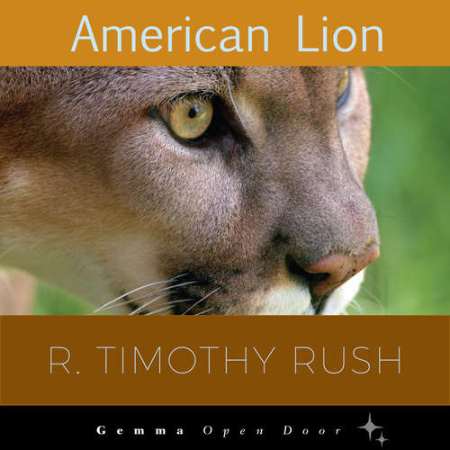Audiobook American Lion - R. Timothy Rush - Steven Mendel