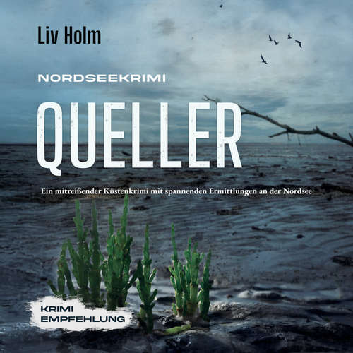Hoerbuch Nordseekrimi Queller: Ein mitreißender Küstenkrimi mit spannenden Ermittlungen an der Nordsee - Krimi Empfehlung - Liv Holm - Nicole Baumann