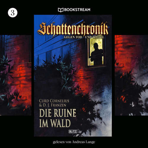 Hoerbuch Schattenchronik, Folge 3: Die Ruine im Wald - Curd Cornelius - Andreas Lange