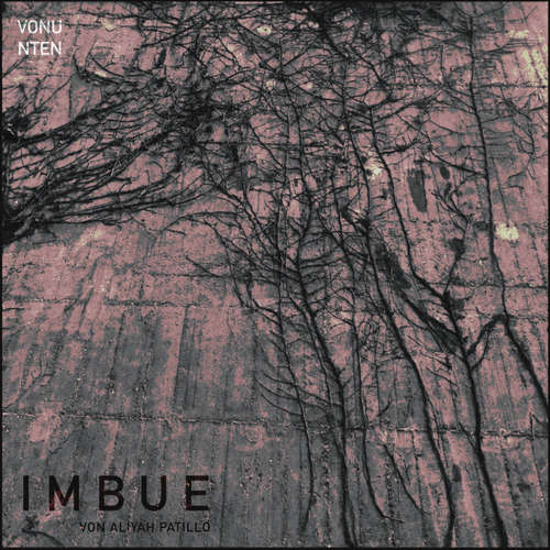Hoerbuch Imbue - Aliyah Patillo - Lotta Meister