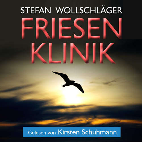 Hoerbuch Friesenklinik: Ostfriesen-Krimi - Stefan Wollschläger - Kirsten Schuhmann