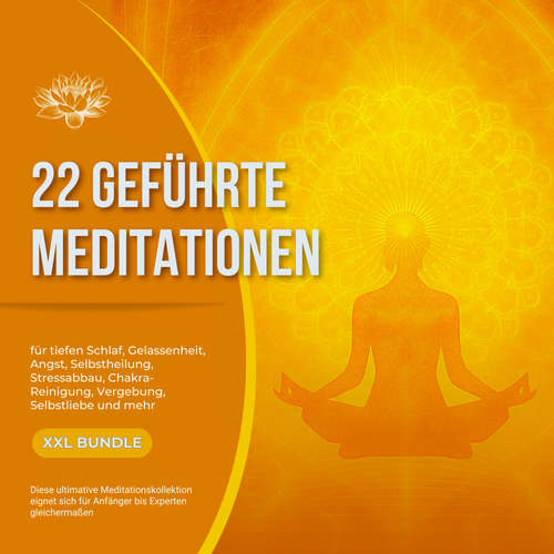 Hoerbuch 22 geführte Premium-Meditationen für tiefen Schlaf, Gelassenheit, Angst, Selbstheilung, Stressabbau, Chakra-Reinigung, Vergebung, Selbstliebe und mehr - Patrick Lynen - Stephan Müller