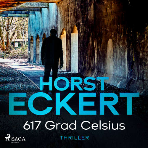 Hoerbuch 617 Grad Celsius - Horst Eckert - Horst Eckert