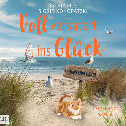 Hoerbuch Voll verkatert ins Glück - Sylvia Filz - Pe Weber