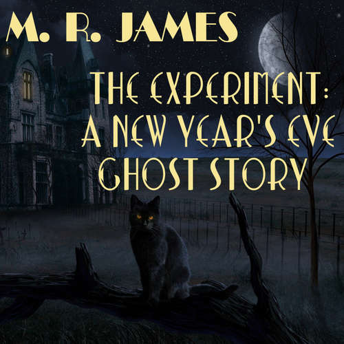 Audiobook The Experiment: A New Year's Eve Ghost Story - M. R. James - Peter Coates