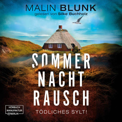 Hoerbuch Sommer. Nacht. Rausch. - Malin Blunk - Silke Buchholz