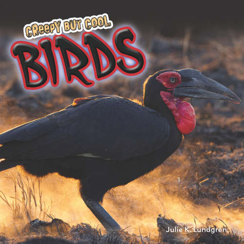 Audiobook Creepy but Cool Birds - Julie K. Lundgren - Blue Door